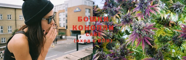 дурь Белокуриха