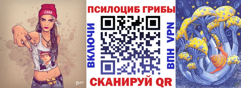 как найти закладки  Строитель  Псилоцибиновые грибы Magic Shrooms 